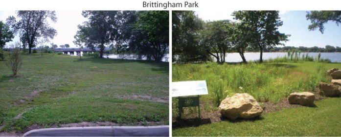 brittingham park