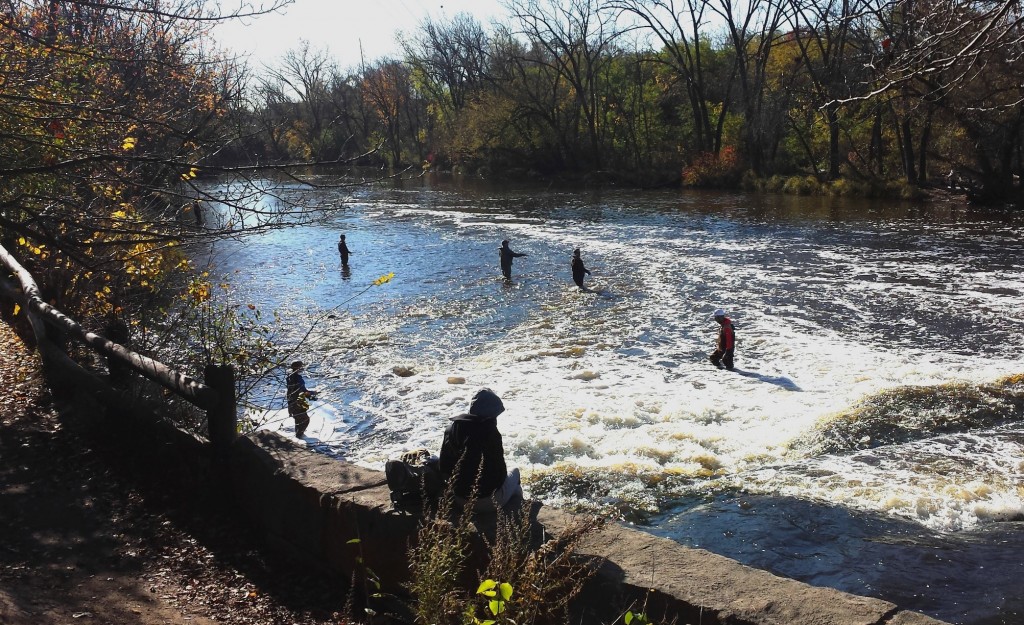 Flyfishing in Milwaukee