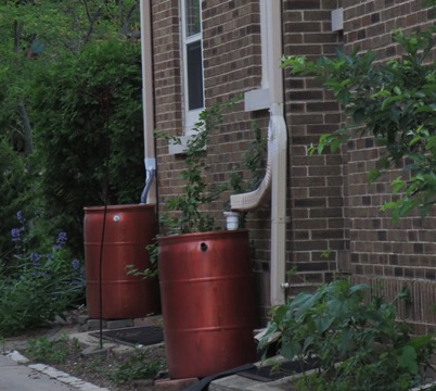 rain barrels