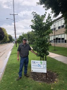 Bill Sturm, Oshkosh City Forester &amp; Landscape Operations Manager.