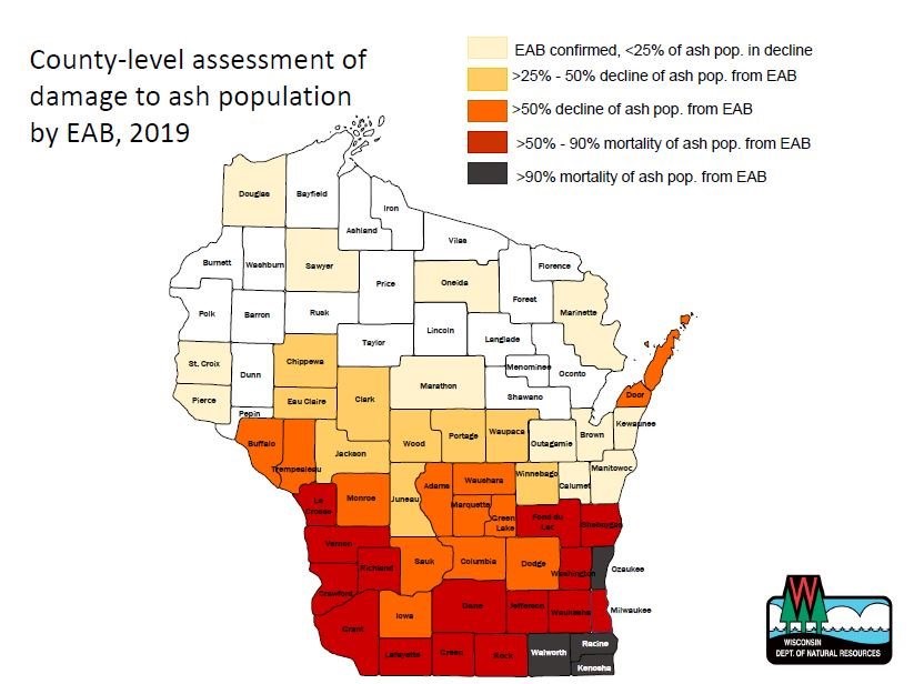 EAB Tree damage by county 