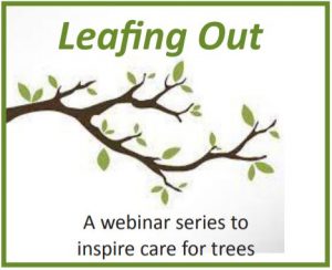 Leafing Out Webinar Series Logo