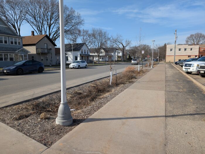 Observing a new Bioswale in the Avon Street right-of-way. It reduces runoff into the nearby Black River.