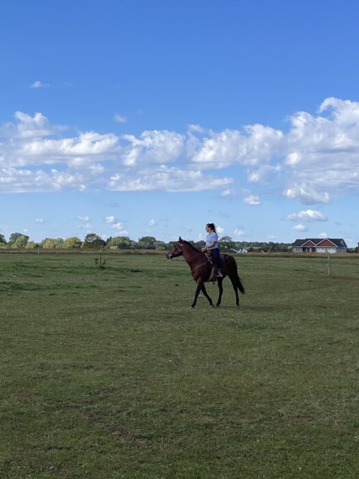 Riding my horse, Dale, at our hobby farm in Polk County, Wisconsin (my brother's house in the background)