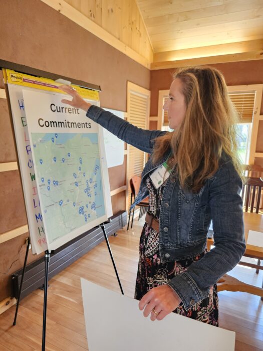 Melissa Gavin brainstorming on Statewide climate commitments at Re-Amp event