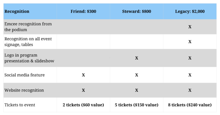Sponsorship Chart for 30th Anniversary Donors showing incremental levels and what recognition you receive in exchange 