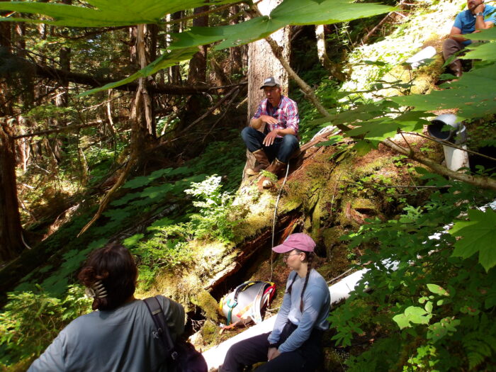 2 female students, and 1 male professor are seated on a sloping hill, between forest trees. They are observing a white pipe placed on the forest floor, sloping down the hill.