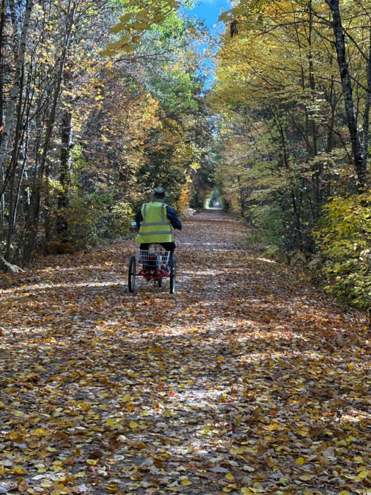 Tricycle riding along leafy bike path with fall colors all around, rider in hi-visibility vest for safety